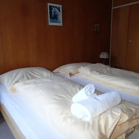 Appartement Dalablick 1 *